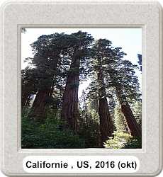 image californie